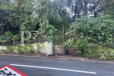 Farm i Guimaraes, Braga, Guimaraes - € 1.000.000 | Ref: MAS_469 - foto 14