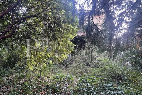 Farm i Guimaraes, Braga, Guimaraes - € 1.000.000 | Ref: MAS_469 - foto 15