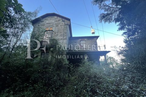 Farm i Guimaraes, Braga, Guimaraes - € 1.000.000 | Ref: MAS_469 - foto 16