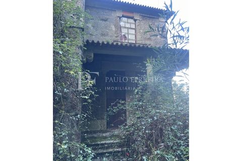 Farm i Guimaraes, Braga, Guimaraes - € 1.000.000 | Ref: MAS_469 - foto 18