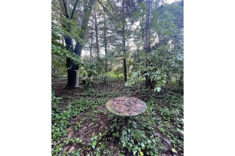 Farm i Guimaraes, Braga, Guimaraes - € 1.000.000 | Ref: MAS_469 - foto 19