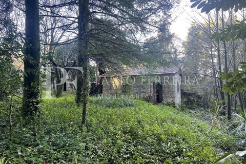 Farm i Guimaraes, Braga, Guimaraes - € 1.000.000 | Ref: MAS_469 - foto 20