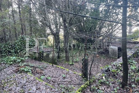 Farm i Guimaraes, Braga, Guimaraes - € 1.000.000 | Ref: MAS_469 - foto 21