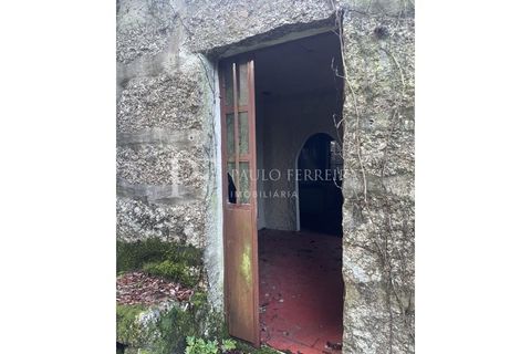 Farm i Guimaraes, Braga, Guimaraes - € 1.000.000 | Ref: MAS_469 - foto 22