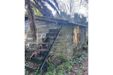 Farm i Guimaraes, Braga, Guimaraes - € 1.000.000 | Ref: MAS_469 - foto 24