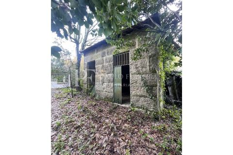 Farm i Guimaraes, Braga, Guimaraes - € 1.000.000 | Ref: MAS_469 - foto 25
