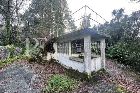 Farm i Guimaraes, Braga, Guimaraes - € 1.000.000 | Ref: MAS_469 - foto 26