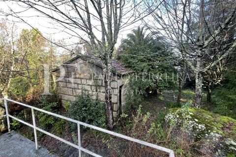 Farm i Guimaraes, Braga, Guimaraes - € 1.000.000 | Ref: MAS_469 - foto 28