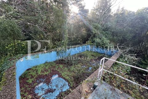 Farm i Guimaraes, Braga, Guimaraes - € 1.000.000 | Ref: MAS_469 - foto 29