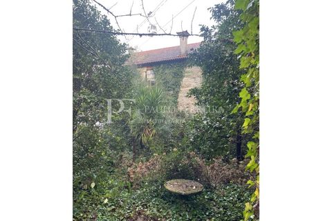 Farm i Guimaraes, Braga, Guimaraes - € 1.000.000 | Ref: MAS_469 - foto 30