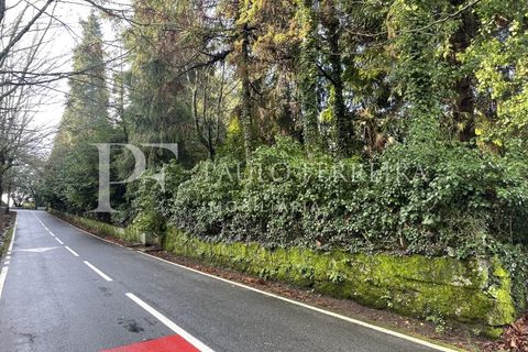 Farm i Guimaraes, Braga, Guimaraes - € 1.000.000 | Ref: MAS_469 - foto 34