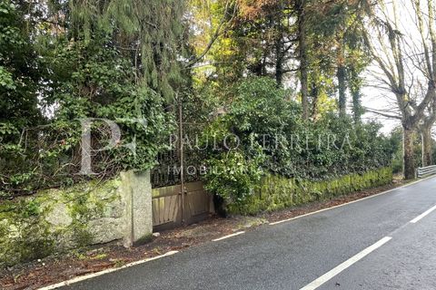 Farm i Guimaraes, Braga, Guimaraes - € 1.000.000 | Ref: MAS_469 - foto 35