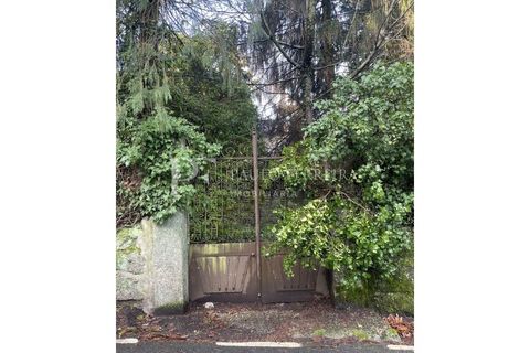 Farm i Guimaraes, Braga, Guimaraes - € 1.000.000 | Ref: MAS_469 - foto 36