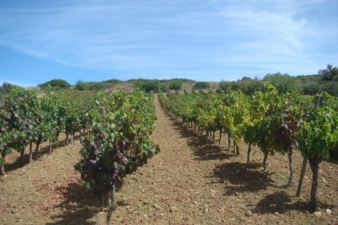 Granja a Carregado, Lisbon, Carregado - € 2.250.000 | Ref: QUI2168 - foto 36