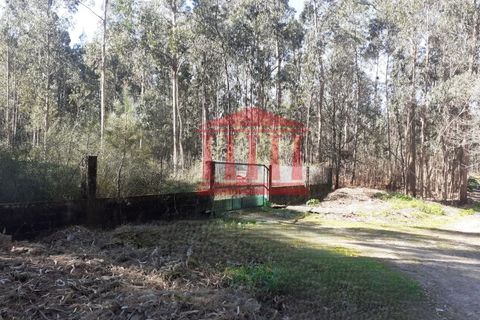 Terra em Vila Cha, Braga, Vila Cha - € 150.000 | Ref: 272T00694 - foto 1