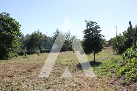 Helårsgrund i Guimaraes, Braga, Guimaraes - € 165.000 | Ref: 1330106/25GM - foto 13