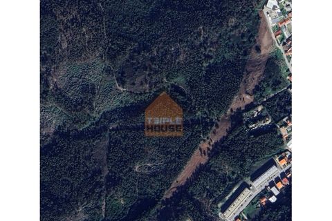Helårsgrund i Paredes, Porto, Paredes - € 17.000 | Ref: 1097 - foto 2