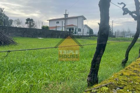 Helårsgrund i Penafiel, Porto, Penafiel - € 85.000 | Ref: 1031 - foto 4