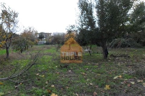 Helårsgrund i Paredes, Porto, Paredes - € 85.000 | Ref: 755/1 - foto 3
