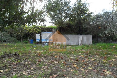 Helårsgrund i Paredes, Porto, Paredes - € 85.000 | Ref: 755/1 - foto 5