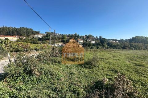 Helårsgrund i Penafiel, Porto, Penafiel - € 125.000 | Ref: TER_1079/3 - foto 2