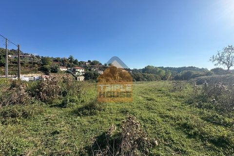 Helårsgrund i Penafiel, Porto, Penafiel - € 125.000 | Ref: TER_1079/3 - foto 3