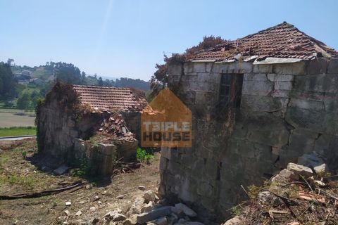 Farm i Paredes, Porto, Paredes - € 350.000 | Ref: 964 - foto 2