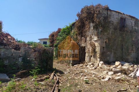 Farm i Paredes, Porto, Paredes - € 350.000 | Ref: 964 - foto 3