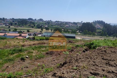 Farm i Paredes, Porto, Paredes - € 350.000 | Ref: 964 - foto 4