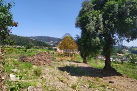 Farm i Paredes, Porto, Paredes - € 350.000 | Ref: 964 - foto 5