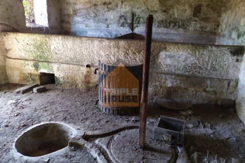 Farm i Paredes, Porto, Paredes - € 350.000 | Ref: 964 - foto 6