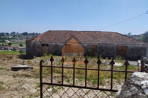 Farm i Paredes, Porto, Paredes - € 350.000 | Ref: 964 - foto 8