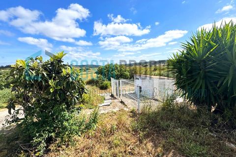 Herregård i Bordeira, Faro, Bordeira - € 300 000 | Ref: CP-Q2601 - foto 28