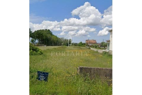 Helårsgrund i Agueda, Aveiro, Agueda - € 160.000 | Ref: PRT281 - foto 2