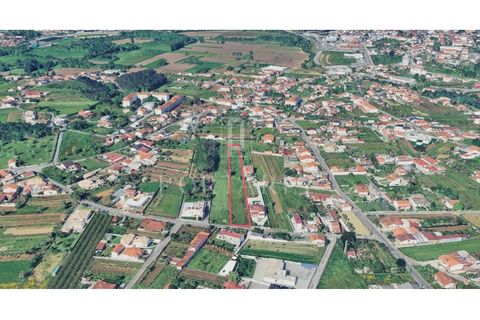 Helårsgrund i Agueda, Aveiro, Agueda - € 160.000 | Ref: PRT281 - foto 7