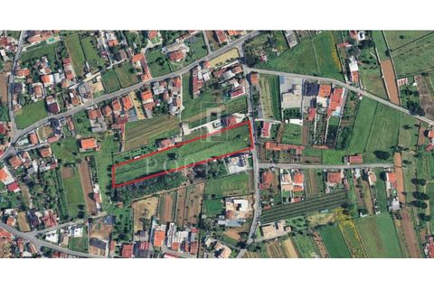 Helårsgrund i Agueda, Aveiro, Agueda - € 160.000 | Ref: PRT281 - foto 9