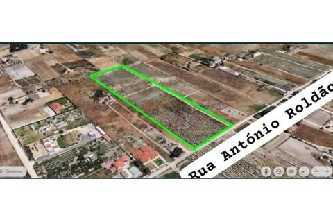 Helårsgrund i Palmela, Setubal, Palmela - € 215.000 | Ref: 7382 - foto 3