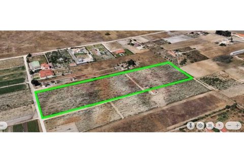Helårsgrund i Palmela, Setubal, Palmela - € 215.000 | Ref: 7382 - foto 4