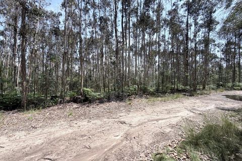 Helårsgrund i Freitas e Vila Cova, Braga, Freitas e Vila Cova - € 62.500 | Ref: 039260051 - foto 2