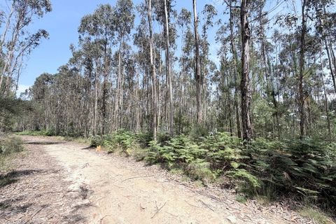 Helårsgrund i Freitas e Vila Cova, Braga, Freitas e Vila Cova - € 62.500 | Ref: 039260051 - foto 3