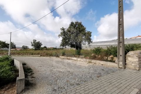 Helårsgrund i Esposende, Braga, Esposende - € 175.000 | Ref: 039250140 - foto 2