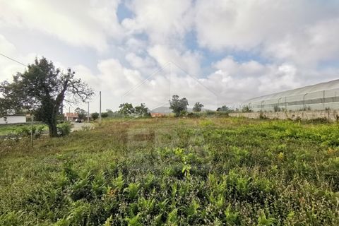 Helårsgrund i Esposende, Braga, Esposende - € 175.000 | Ref: 039250140 - foto 3