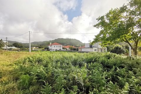 Helårsgrund i Esposende, Braga, Esposende - € 175.000 | Ref: 039250140 - foto 5
