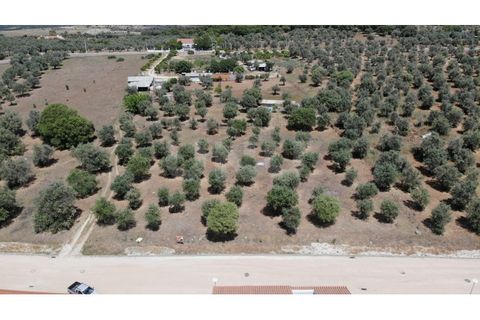 Helårsgrund i Alandroal, Evora, Alandroal - € 70.000 | Ref: UNU.I.1267.20159 - foto 2
