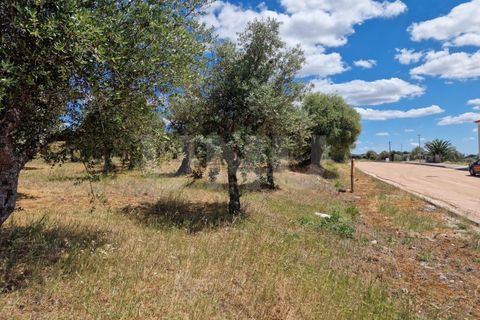 Helårsgrund i Alandroal, Evora, Alandroal - € 70.000 | Ref: UNU.I.1267.20159 - foto 13