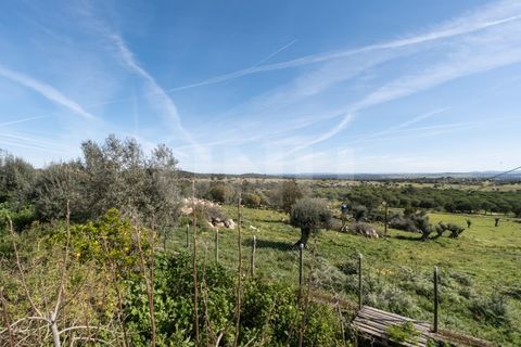 Tomt i Arraiolos, Evora, Arraiolos - € 15 000 | Ref: UNU.I.1207.20159 - foto 5