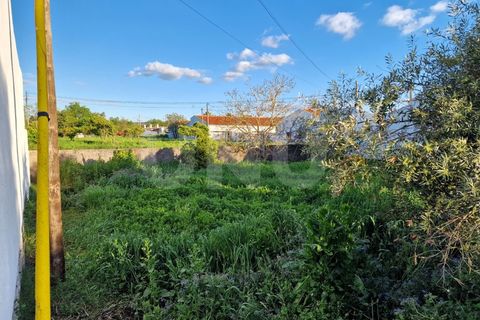 Tomt i Alvito, Beja, Alvito - € 42 500 | Ref: UNU.I.1211.20159 - foto 5