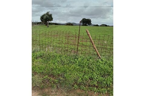 Helårsgrund i Elvas, Portalegre, Elvas - € 20.000 | Ref: TER_81 - foto 5
