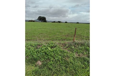 Helårsgrund i Elvas, Portalegre, Elvas - € 20.000 | Ref: TER_81 - foto 6