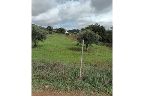 Helårsgrund i Elvas, Portalegre, Elvas - € 20.000 | Ref: TER_81 - foto 8